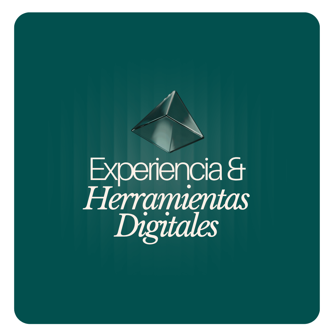 Experiencia y herramientas Agencia Marketing Digital Winnb